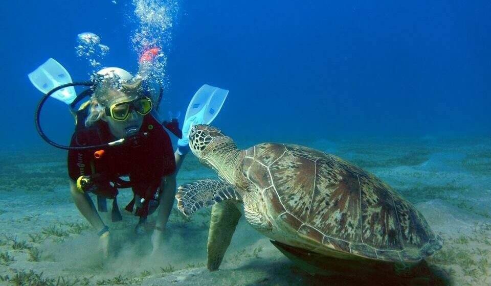 Private Taxi To Marsa Alam Private-Taxi-To-Marsa-Alam