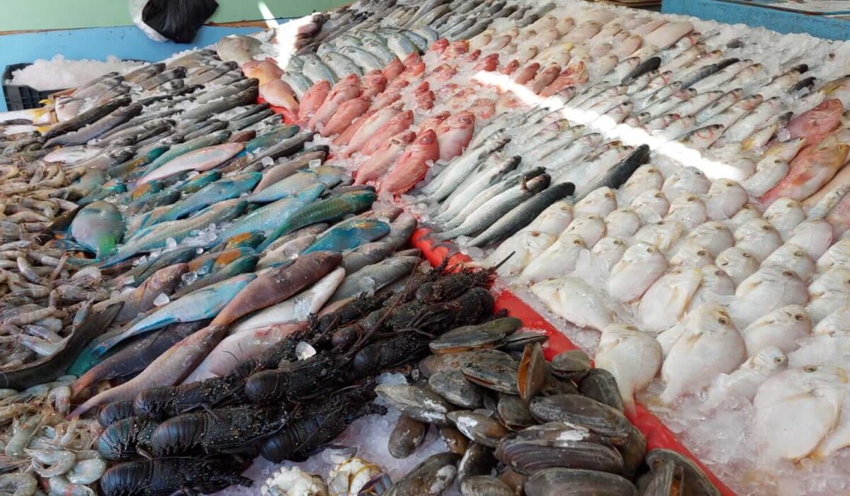 Private Taxi Hurghada